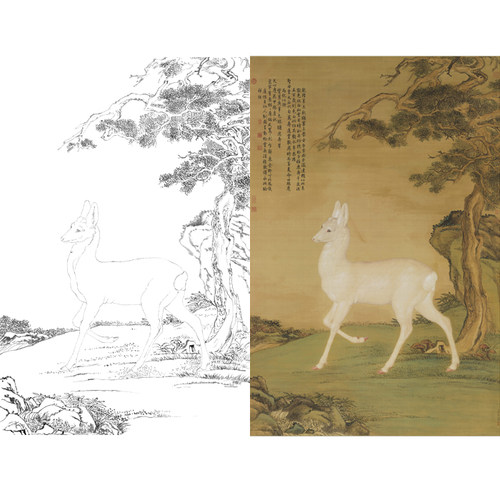 白描底稿郎世宁工笔画白描稿