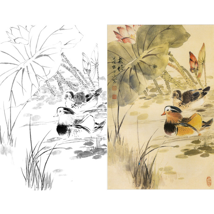 荷花鸳鸯花鸟画白描底稿国画小写意宣纸画稿临摹勾线练习打印稿子