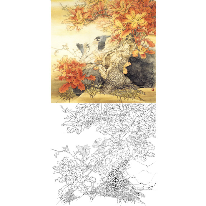 工笔画花鸟白描底稿秋景斗方小品画国画线描临摹稿勾线练习打印稿