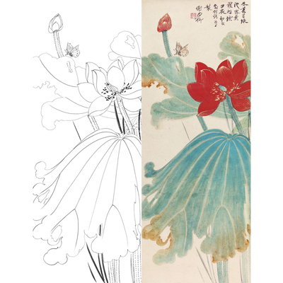 工笔画荷花白描底稿国画底稿
