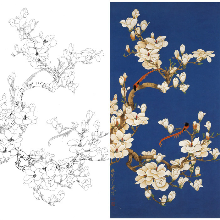 工笔画花鸟画白描底稿国画玉兰花鸟画宣纸临摹勾线练习打印画稿子