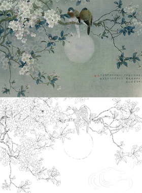白描底稿工笔画樱花线描稿
