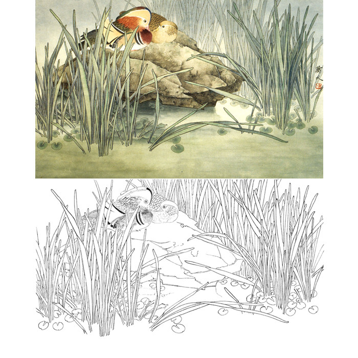 工笔鸳鸯画白描底稿国画花鸟水草线描实物画稿临摹勾线练习打印稿