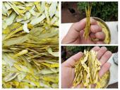 25年新货贵州赤水特产赤水金钗石斛切片干货50克泡茶