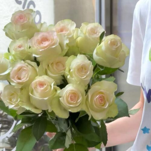 花知述园艺甜蜜艾莎四季玫瑰月季花常年开花植物庭院阳台可养