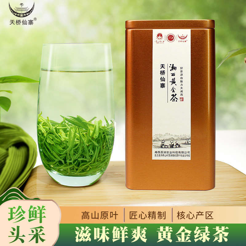 湘西黄金茶原产地高山生态