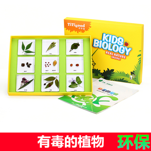 幼儿园科学发现室教学教具有毒的植物银杏种子 标本 套装皮皮科教
