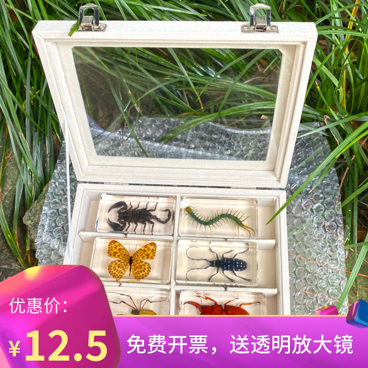 教学科学实验儿童真昆虫标本树脂琥珀蜈蚣黑蝎子锹甲蜘蛛螃蟹乌龟