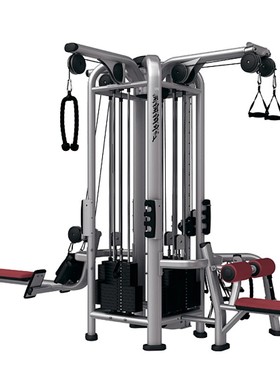 五人站综合训练器 四人站八人站力life健身fitnes 大小飞鸟龙门架