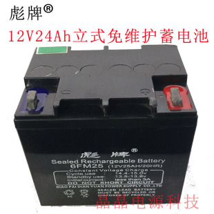12V24AH铅酸蓄电池12V消防柜机安防UPS电源太阳能照明大容量电瓶