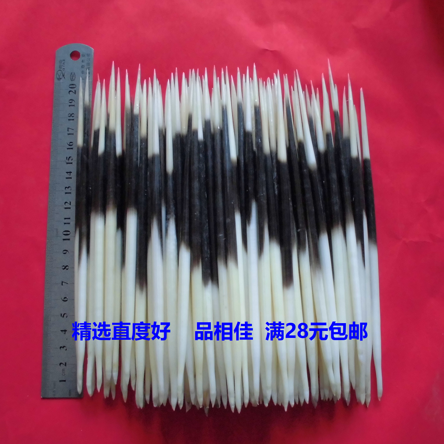 养殖豪猪刺精选品相好牙签浮漂