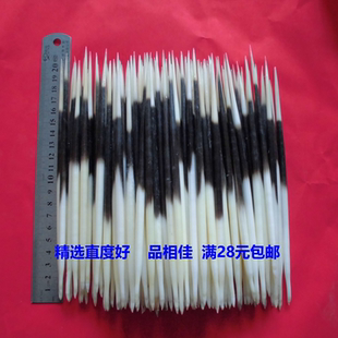 养殖豪猪刺箭猪刺刺猪刺 品相好牙签浮漂发簪茶针古钱币清理工具