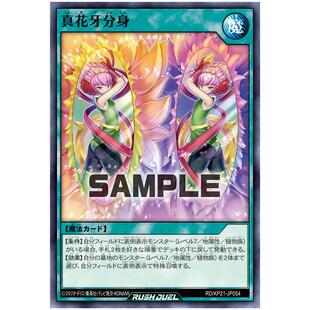游戏王RD 真花牙分身N kp21-jp054【布鲁斯卡牌】