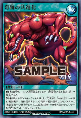 【布鲁斯卡牌】游戏王RD 奇迹之共进化N max2-jp016
