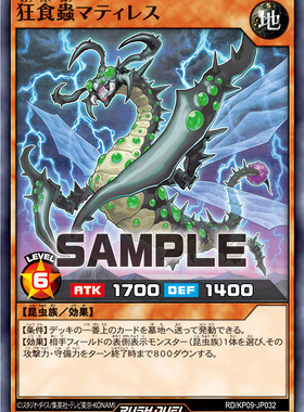 【布鲁斯卡牌】游戏王RD 狂食虫 母螳虫N kp09-jp032