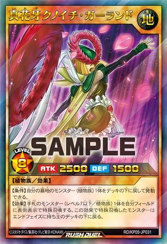 【布鲁斯卡牌】游戏王RD 真花牙女忍·我兰憧UR kp05-jp031