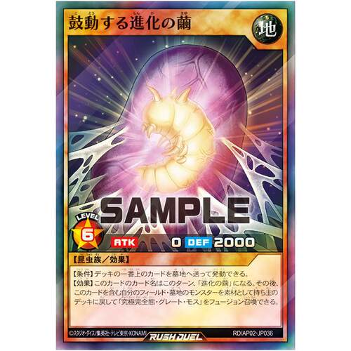 游戏王RD 鼓动的进化之茧 SR/SER ap02-jp036【布鲁斯卡牌】