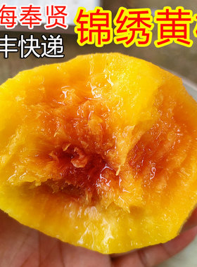 现摘正宗上海奉贤锦绣黄桃新鲜
