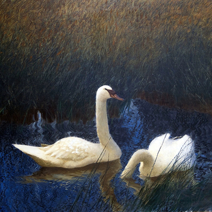 利耶夫什Bruno Liljefors动物风景油画绘画电子图片高清美术素材
