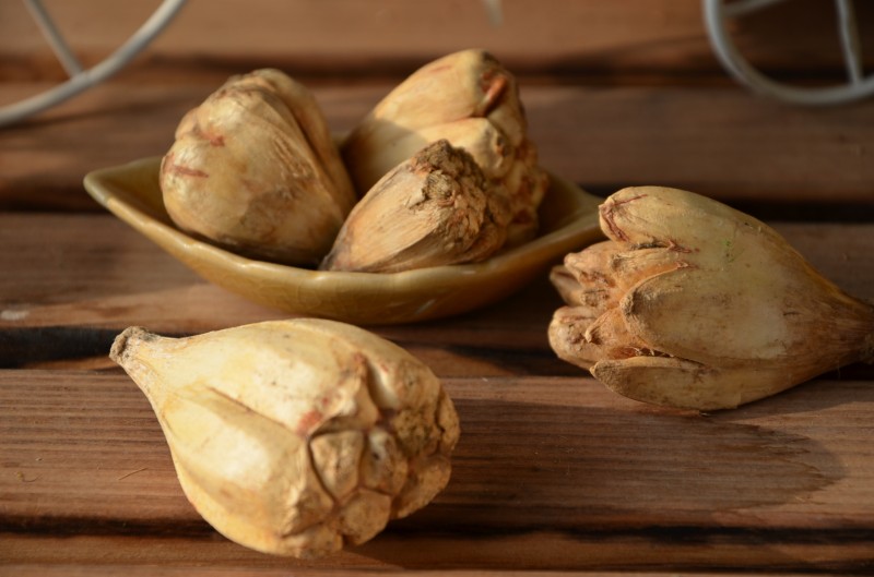 森林系干花干果纯天然浆果山菠萝乡村橱窗展示柜野菠萝装饰摆件