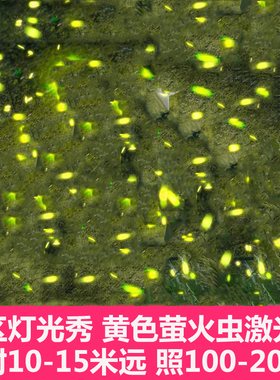 户外白光星空投影萤火虫黄绿色满天星激光镭射灯景区灯光秀之光节