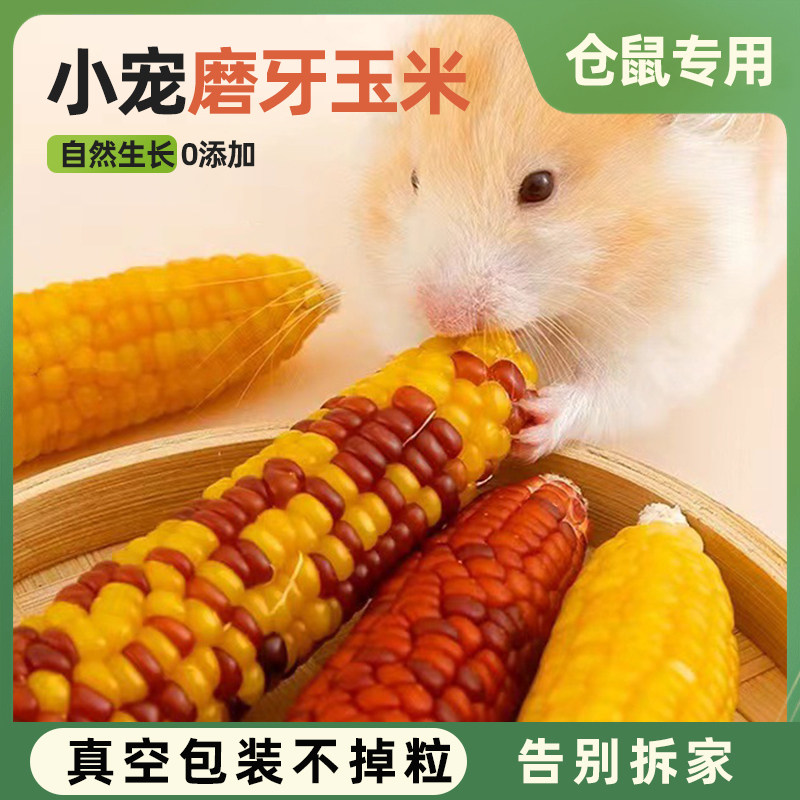 仓鼠小玉米磨牙棒小零食营养粮食金丝熊兔子口粮造景生活用品玩具,宠物/宠物食品及用品,鼠粮,淘宝优惠券,粉丝福利购,淘宝优惠卷