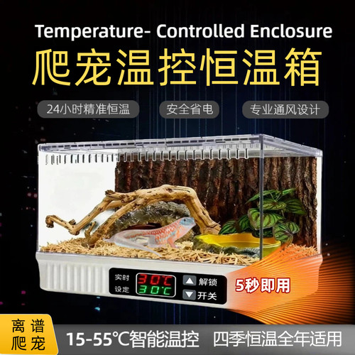 离谱爬创智能温控恒温箱豹纹守宫