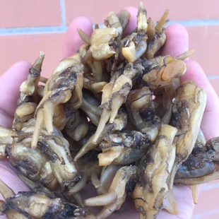 野生蛏干500g 无沙鲜甜小海蛏子干圣子特级 福建厦门特产水产干货