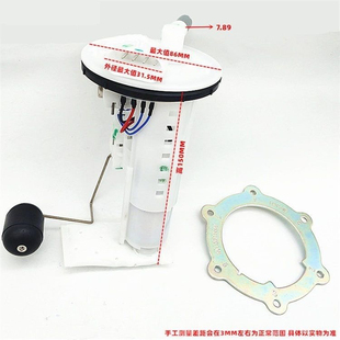 国四摩托车 朗杰电喷 飞鹰劲战雅阁喜劲雅致燃油泵汽油泵