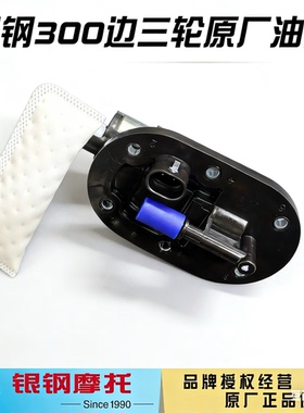 银钢YG250.300.500摩托车原厂配件拿铁边三轮车型原厂燃油箱油泵