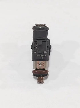 力帆摩托车KPM239/ LF200-3C 喷油嘴