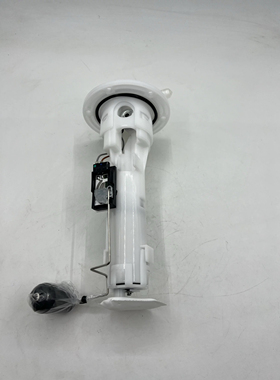 三阳 cruisym 巡弋300 阿尔法 汽油泵 燃油泵 总成  包邮