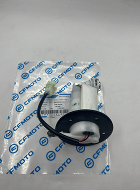 CF春风摩托NK150 250SR 400 650NK MTR GT国宾 汽油泵油箱燃油泵