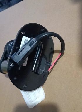 济南轻骑QM250J-2LQM250J-8LQM300J-2L-3L QS150JQM250GY-F汽油泵