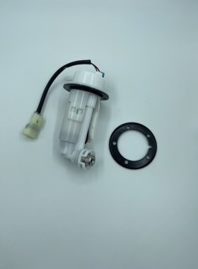N19双缸水冷400CC摩托车跑车Z1000重机车大蟒蛇250街车汽油泵