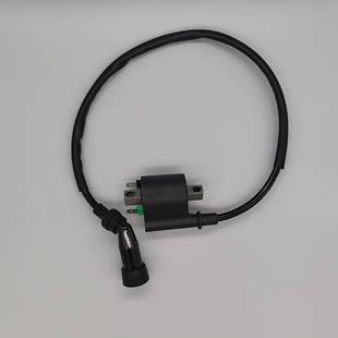 布雷斯通蓝卡150摩托车日雅安东尼斯250踏板车电喷高压包点火线圈