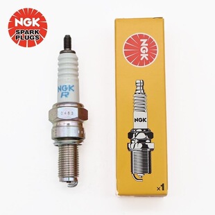 赛艇400 RCK 雷霆王180 王道700火花塞 S250 AK550 S350 光阳