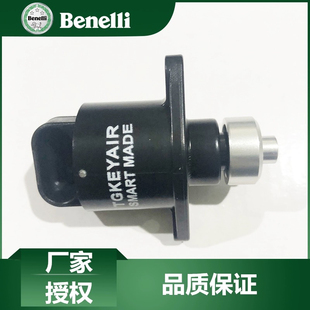 黄龙 BNTNT300巡航/欧版/黄龙BJ600GS/-A BN600怠速马达 步进电机