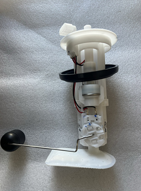 重庆望江摩托车望龙WL125-25摩托车汽油泵