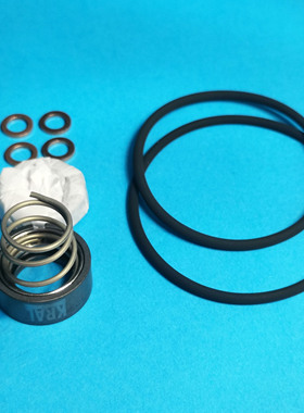 UED04A轴封套装/KRAL/605699/BDG38A/DS1-500/Saacke/Aalborg