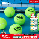 wilson威尔胜网球无压练习球威尔逊高弹耐打初学入门专业训练球