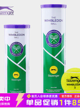 Slazenger史莱辛格铁罐网球施莱辛格温网豹子专业训练习比赛用球