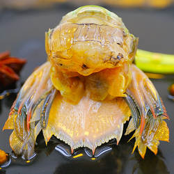 呛虾爬子段生腌皮皮虾段800克/桶生酱爬虾丹东生食即食海鲜水产