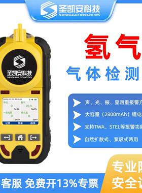 防爆型 H₂氢气检测仪便携式制氢站气体浓度检测报警器
