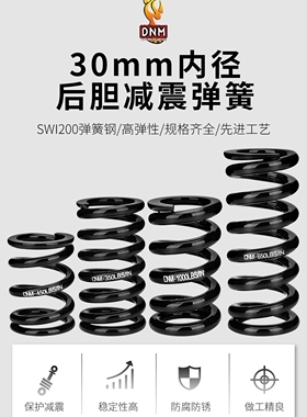 DNM DV22AR后胆弹簧 减震器 弹簧改装油簧避震器弹簧修补件