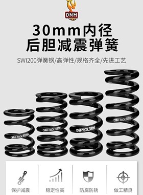 DNM DV22AR后胆弹簧 减震器 弹簧改装油簧避震器弹簧修补件