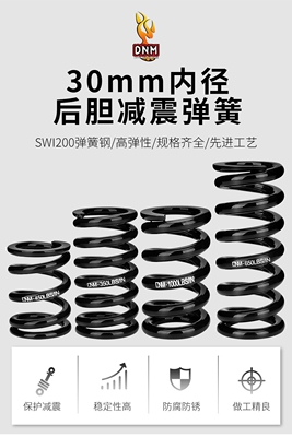 DNM DV22AR后胆弹簧 减震器 弹簧改装油簧避震器弹簧修补件