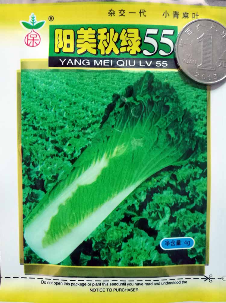 蔬菜种子 天津青种子 大白菜种子 优质种子 高发芽率 9.9元包邮