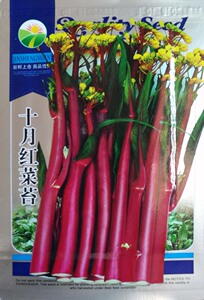 红菜苔种子 蔬菜种子 菜心种子 高发芽率 阳台庭院种菜6.9元包邮