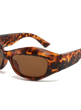 （跨境货源欧美东南亚中东）2025新款墨镜男女太阳镜批厂家直销发